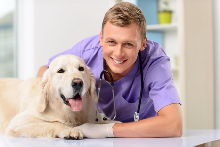 专业兽医检查一只狗