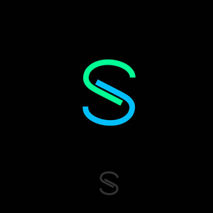 S 字母。S 会标