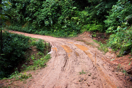 泥泞道路上的轮胎痕迹