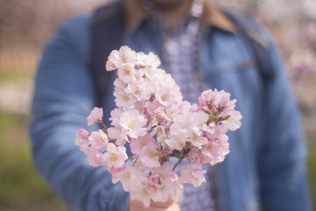 一个年轻的男人给 boquet 粉红色的花朵, 春天, 爱和罗马