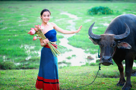 泰国古代年轻女性的水牛在农村图片