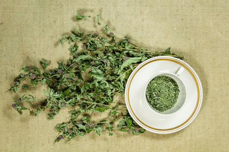 薄荷, 薄荷.干草药.草药, 植物第奇第摄影图