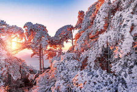 最美黄山雪景日出图图片