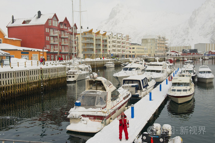 人类站在斯沃维尔挪威港。