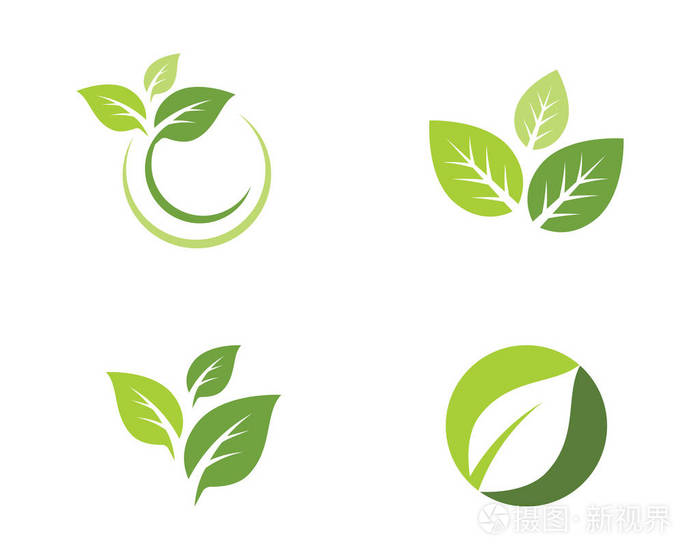 树叶矢量图标模板