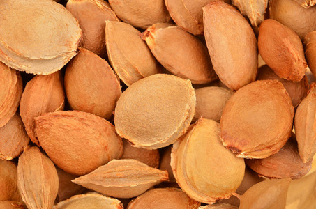 干杏核杏核杏核杏核杏核杏核杏核干杏核或绿杏核果香杏核新鲜杏子和杏