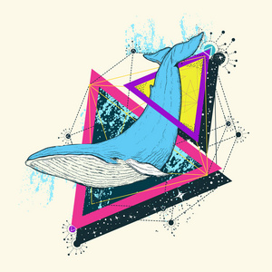 神秘的三角形鲸鱼彩色纹身几何风格.冒险的神秘符号照片