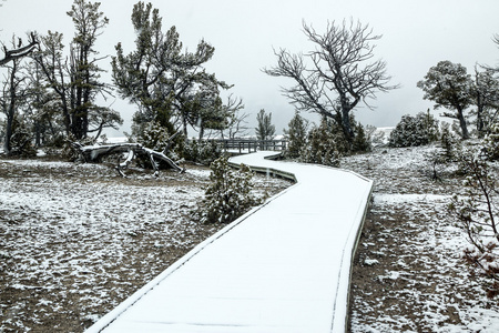 白雪皑皑的木板路图片