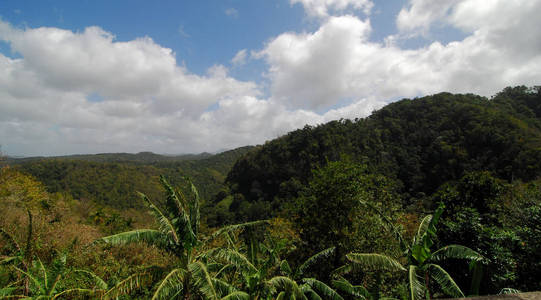 加勒比岛屿圣卢西亚的意见