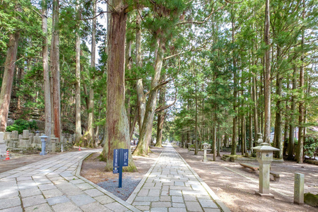 装载高野，日本