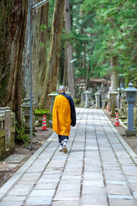 装载高野，日本