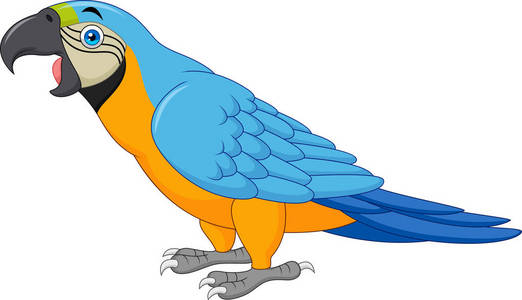 动画片蓝色金刚鹦鹉在白色背景被隔绝了