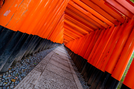 京都伏见 inari