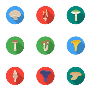 蘑菇在平面样式中设置图标。蘑菇的矢量符号股票插画的大集合
