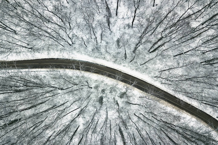 雪林与道路。鸟瞰图