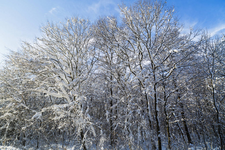 冬季景观与道路在罗马尼亚