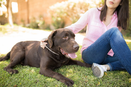 狗长大嘴巴一只可爱的狗的肖像坐在主人旁边张开嘴巴和舌头走出去看