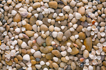 海卵石背景，天然海滨石头