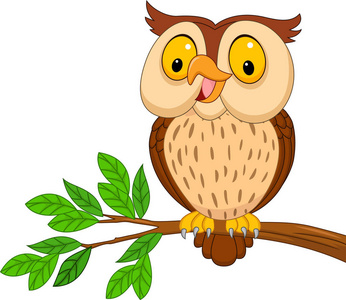 孤立的猫头鹰图片