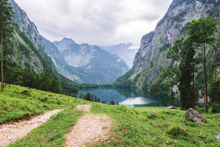 欧伯湖湖, nau 是 Konigssee, 巴伐利亚, 德国。在国家公园贝希特斯加登的大高山风景与母牛