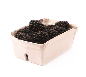 孤立的黑莓纸板盒