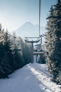 太阳通过松树作为 chairlift 上升在意大利滑雪区覆盖雪