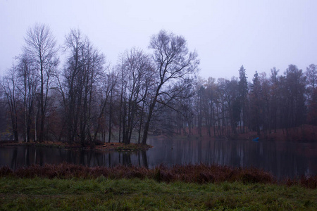 10月底, 晨雾, Gatchina, 列宁格勒地区