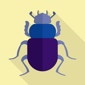 圣甲虫甲虫图