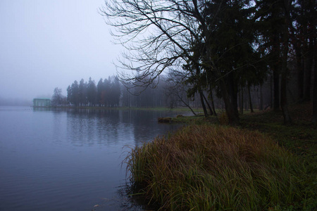 10月底, 晨雾, Gatchina, 列宁格勒地区