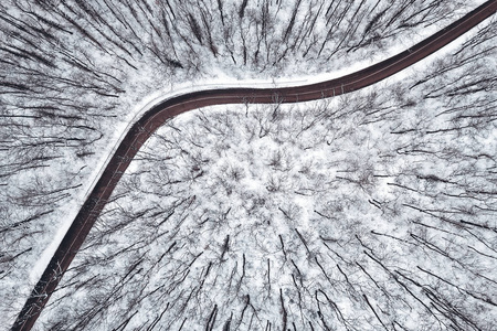 冬季森林和道路。顶部视图