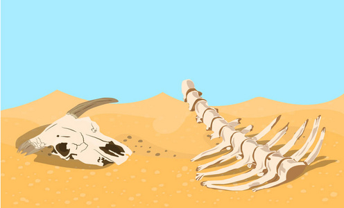 动物骨头在沙漠背景照片