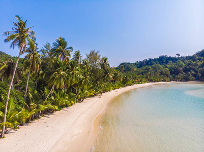 美丽自然热带海滩和海与椰子棕榈树在天堂海岛为旅行假期