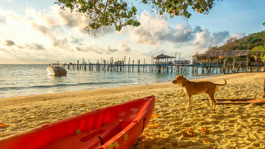 早上在泰国的沙美岛岛。海滩呈现美丽的日出