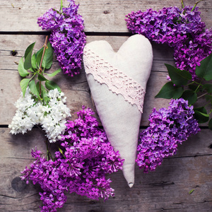 心，白色和紫色淡紫色花