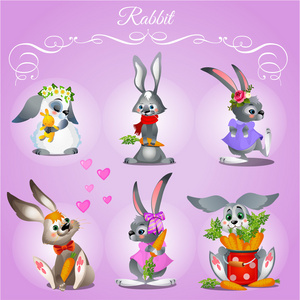 紫色背景上的六只兔子一套照片