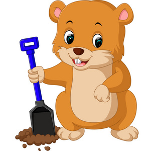 可爱的土拨鼠可爱的土拨鼠卡通照片