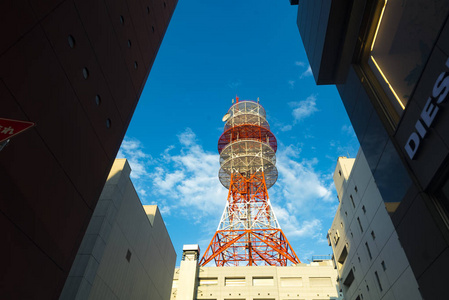 日本的大型无线电发射机