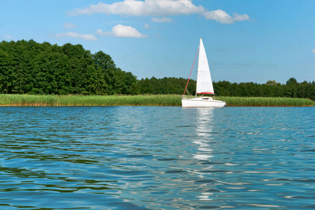 孤独的白色游艇, 夏天在湖上的一艘游艇, 一艘白色风帆的游艇