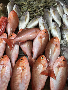 市场上不同色调的鱼品种