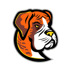 可爱的小狗在沙发上西伯利亚哈士奇孤立. 中型工作犬.杜宾的肖像.