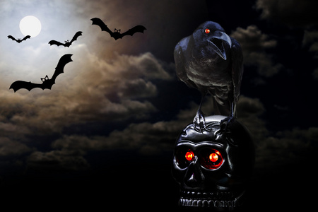 乌鸦站在骷髅图片