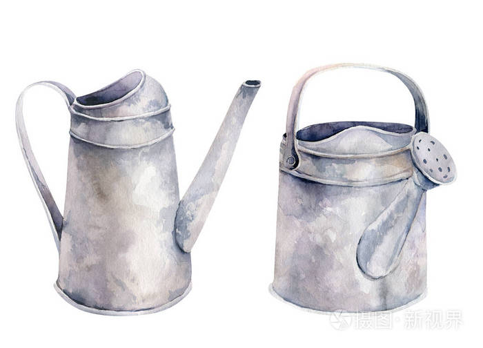 手工绘制的白色的孤立插图.复古花束