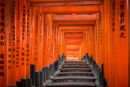 伏见 Inaritaisha 日本