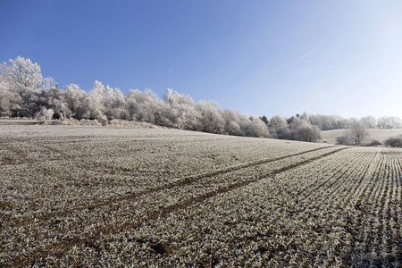 多雪的美丽童话冬季农村与蓝蓝的天空，在中央的波西米亚，捷克共和国