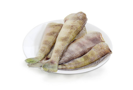 白菜 notothenia 鱼