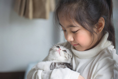 快乐的亚洲女孩拥抱可爱的苏格兰折耳猫的小猫