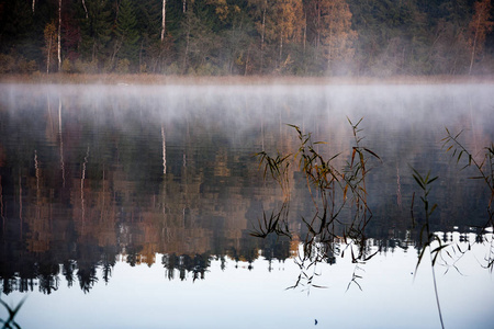 朦胧的农村景观与拉脱维亚的湖图片