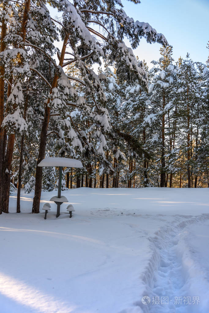 雪中有小路的冬日森林