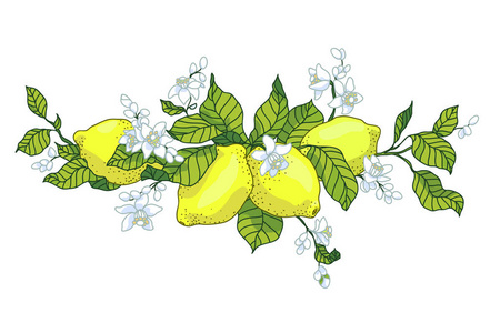 柠檬树在纹身风格的形象.享有小花照片