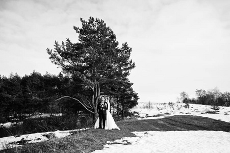 令人惊叹的年轻新婚夫妇在爱在冬季霜和阳光 d